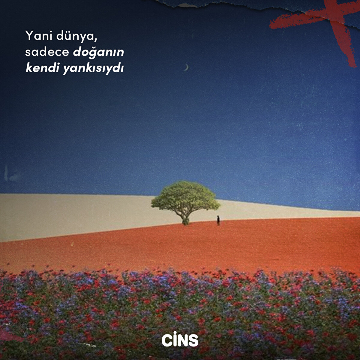 Yani d&#252;nya, sadece doğanın kendi yankısıydı