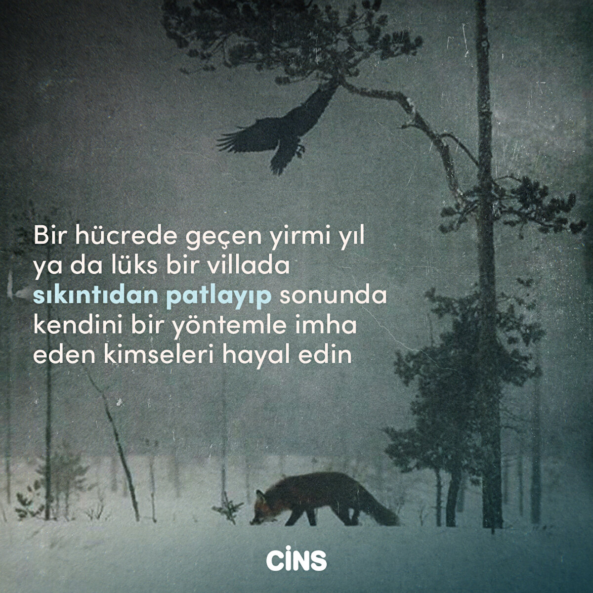 Bir hücrede geçen yirmi yıl ya da lüks bir villada sıkıntıdan patlayıp sonunda kendini bir yöntemle imha eden kimseleri hayal edin