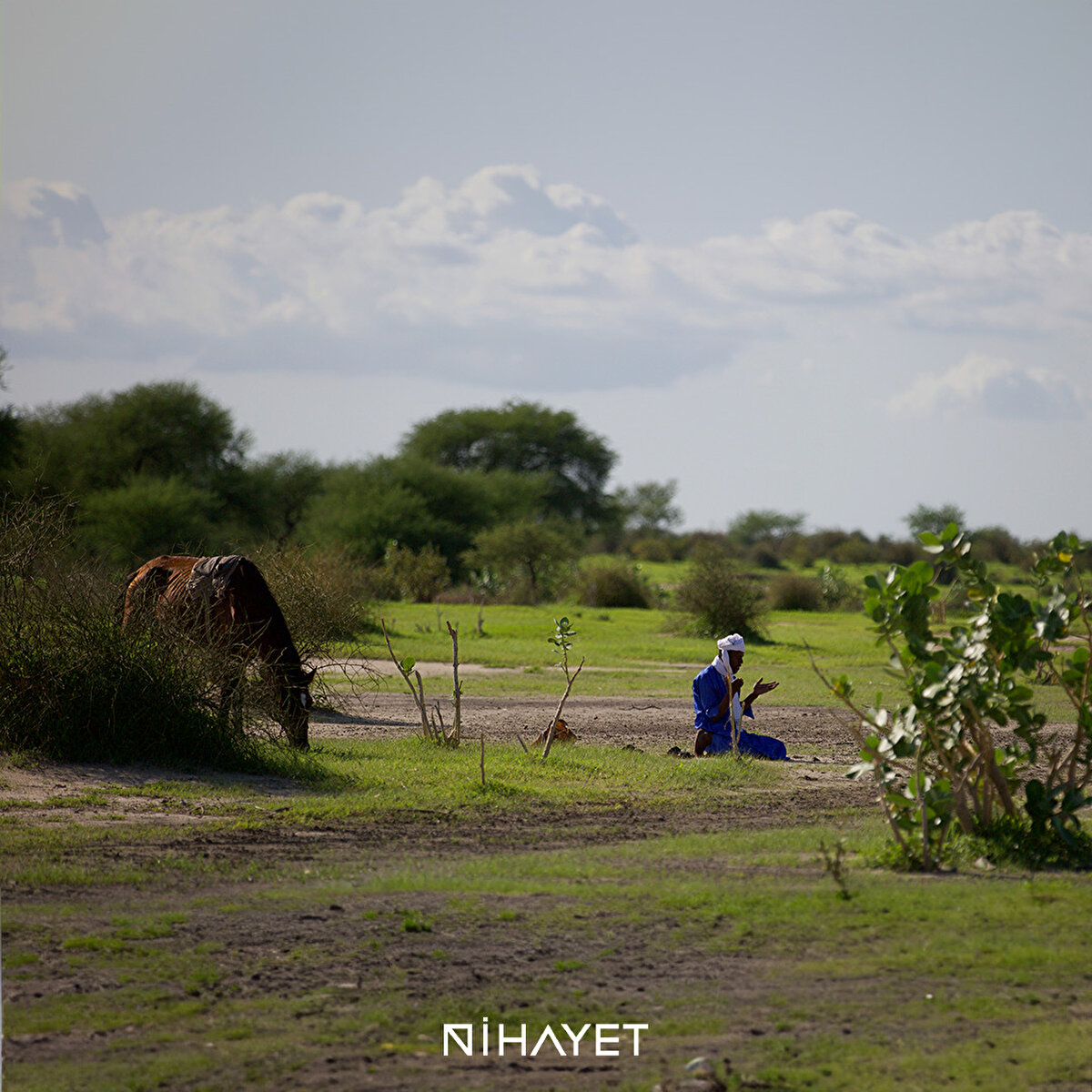 Ülkenin ismini aldığı Çad Gölü, Çad'ın en büyük ve Afrika'nın ikinci büyük sulak alanıdır.