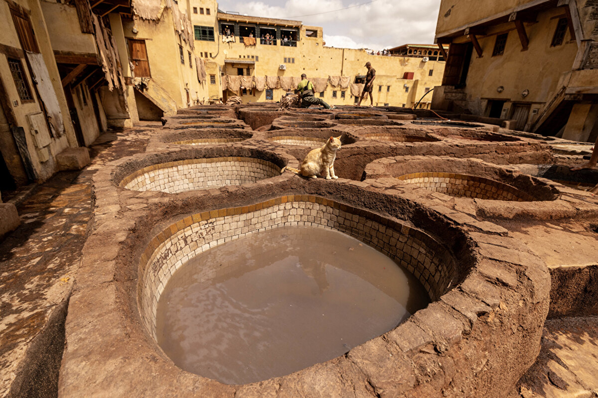 Fas'ın yüzlerce yıllık tabakhaneleri