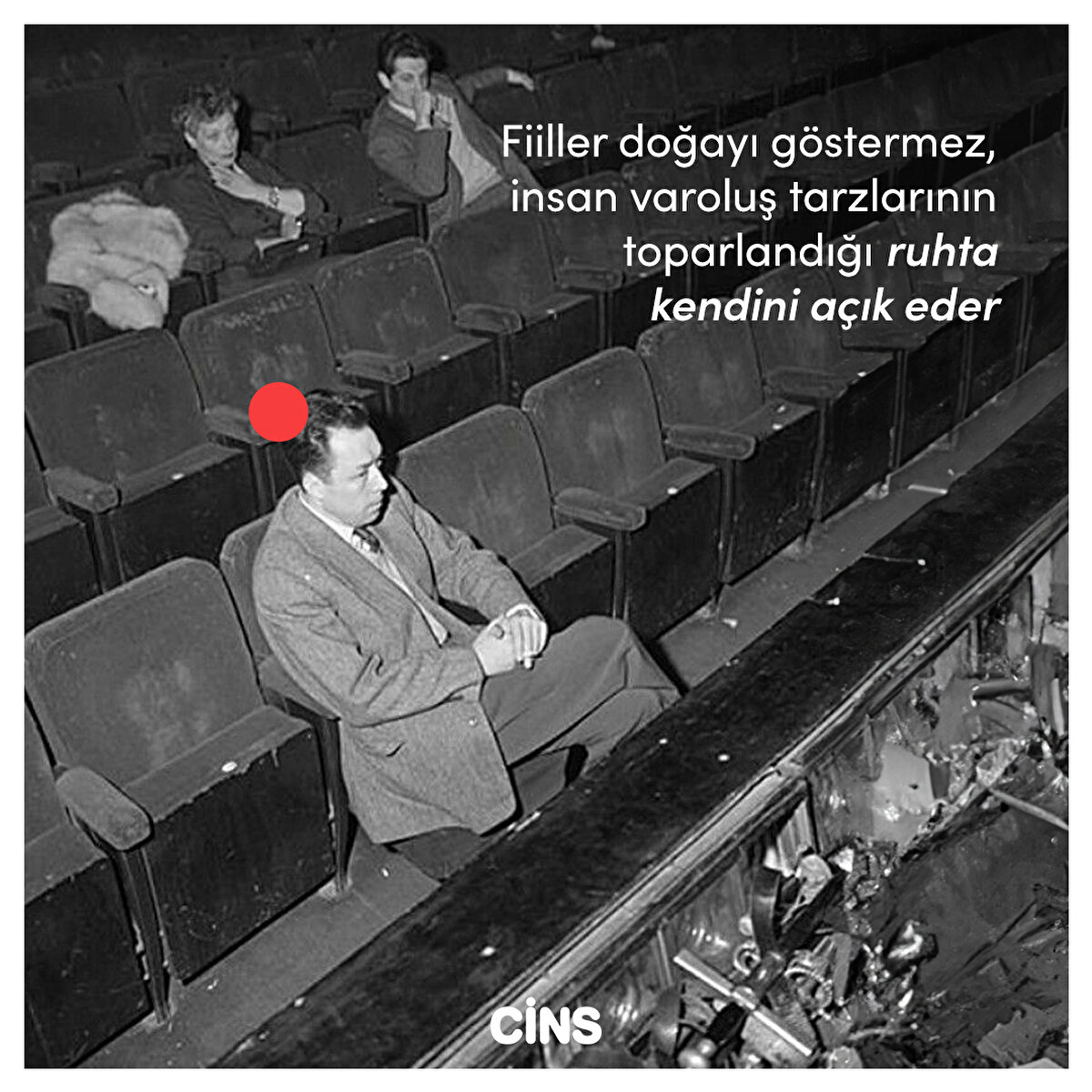 Fiiller doğayı göstermez, insan varoluş tarzlarının toparlandığı ruhta kendini açık eder