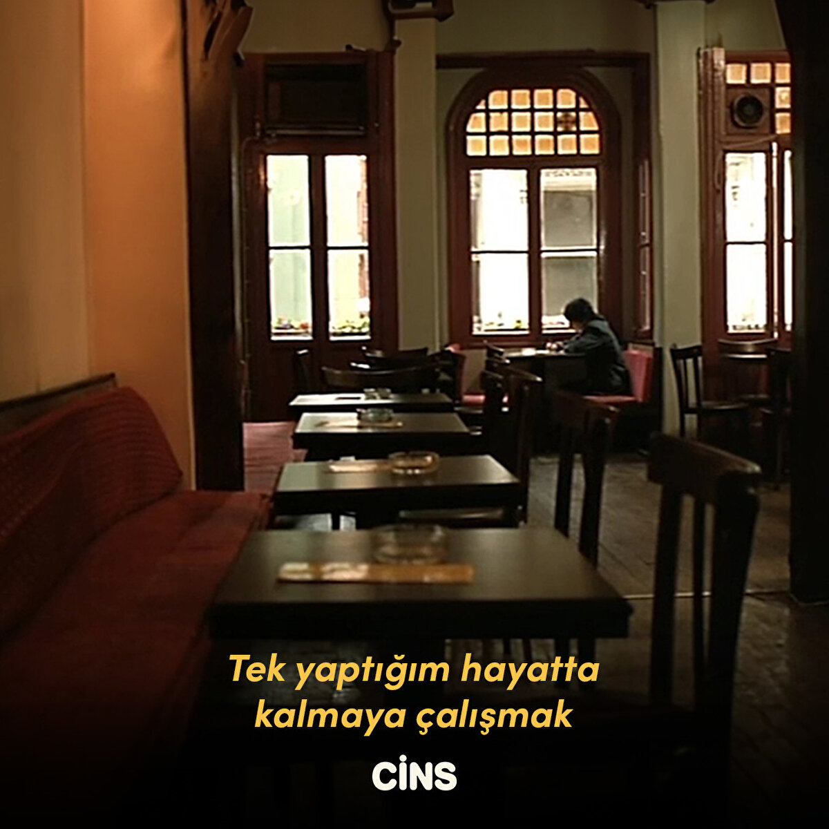 Tek yaptığım hayatta kalmaya çalışmak