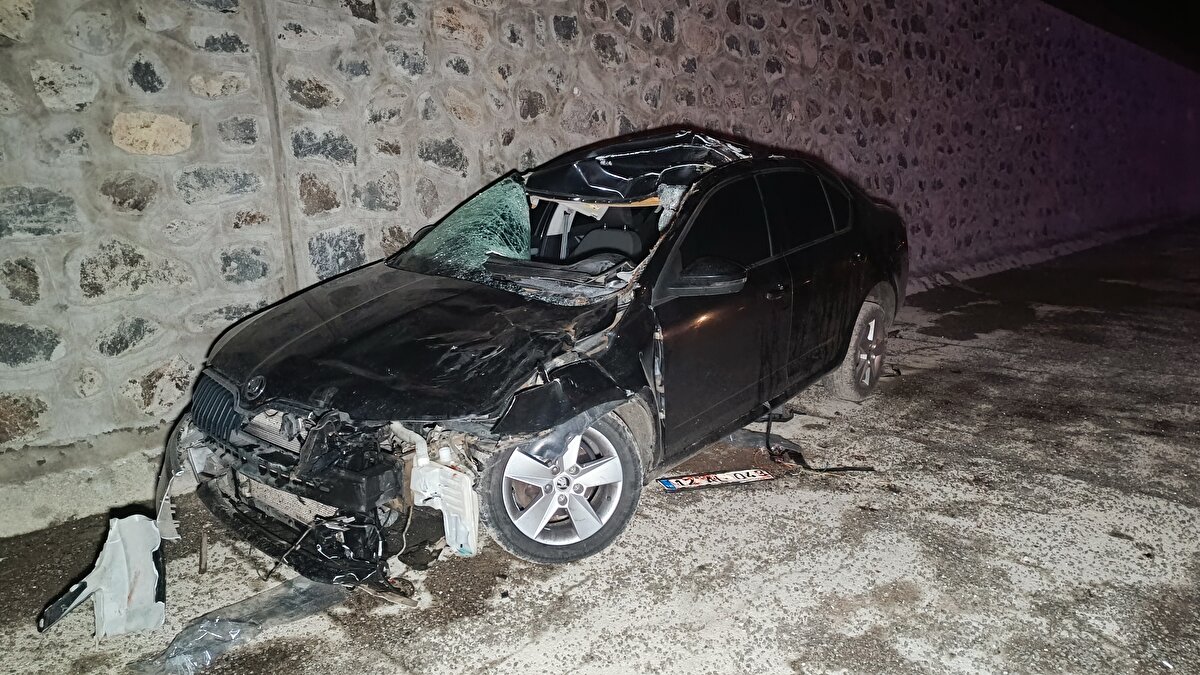 M.K. idaresindeki otomobil, Bingöl-Sancak beldesi kara yolunun 20. kilometresinde yola aniden çıkan ata çarptı.