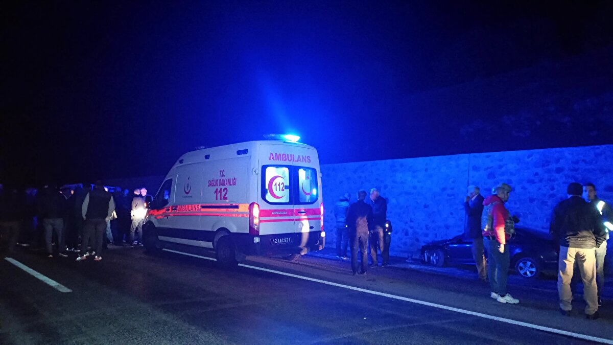Yaralılar, ambulanslarla Bingöl Devlet Hastanesi'ne kaldırıldı. Otomobilin çarptığı at ise öldü.