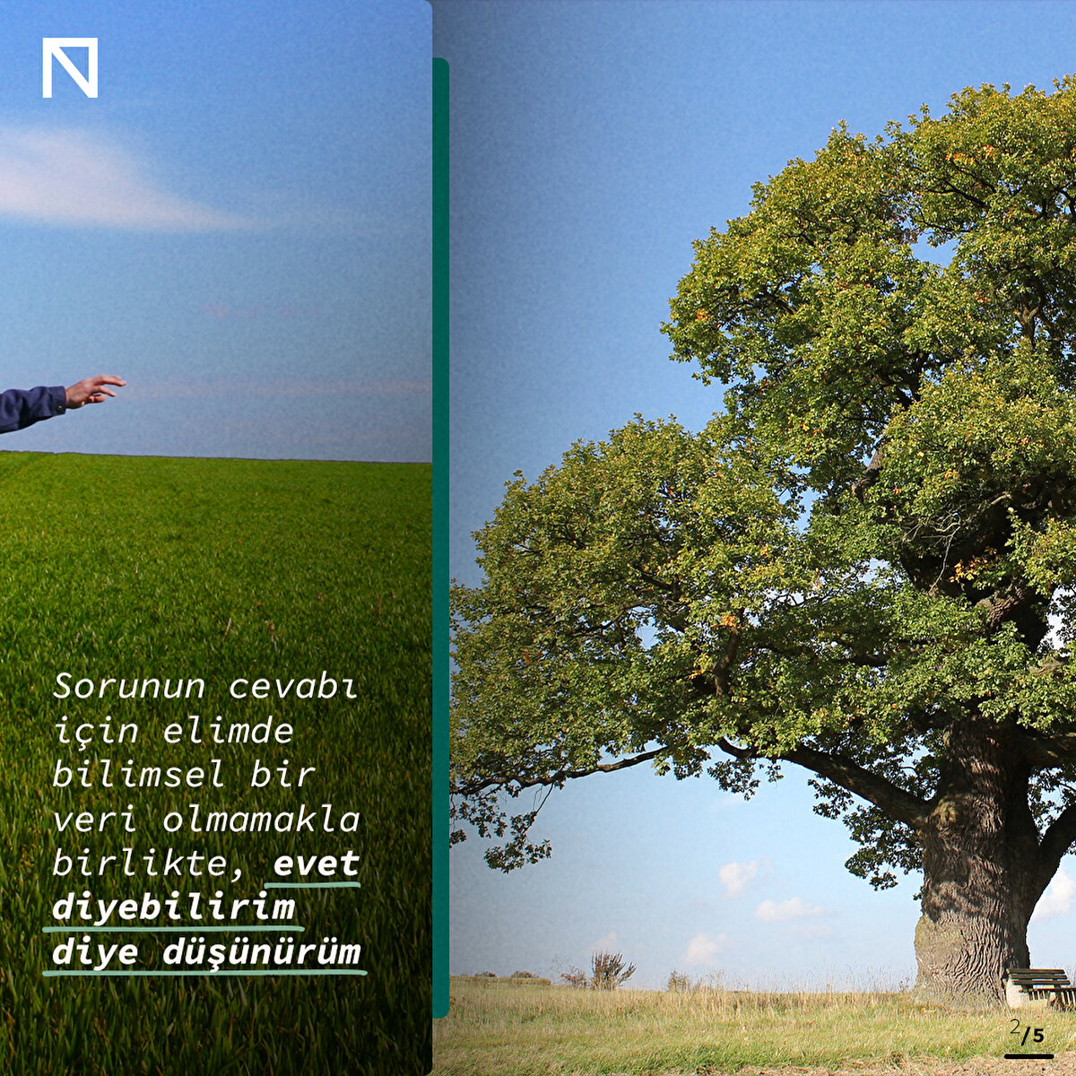 Sorunun cevabı için elimde bilimsel bir veri olmamakla birlikte, evet diyebilirim diye düşünürüm