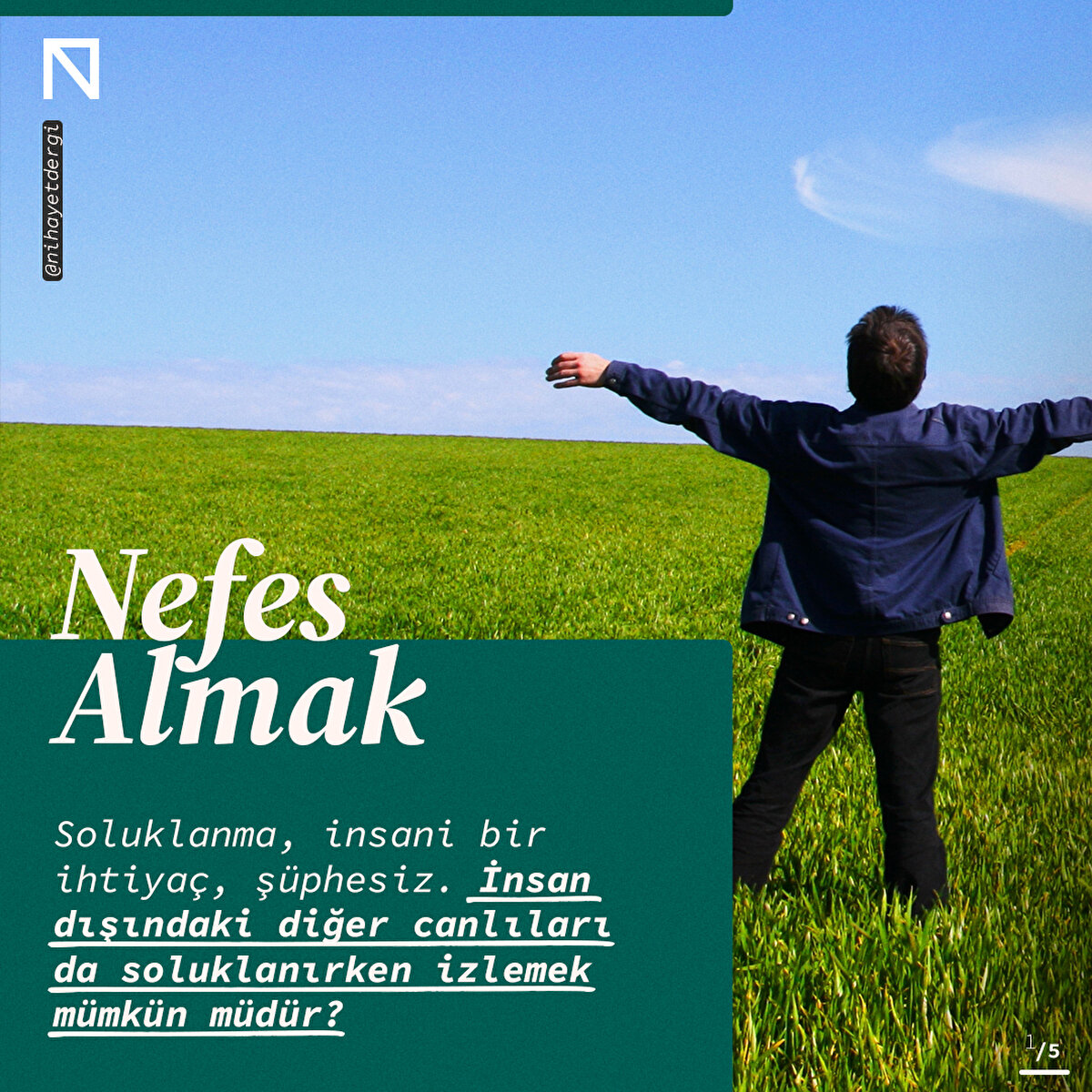 Soluklanma, insani bir ihtiyaç, şüphesiz. İnsan dışındaki diğer canlıları da soluklanırken izlemek mümkün müdür?

📌 Ömer Torlak yazdı 'Nefes Almak, Soluklanmak'

Yazının tamamı Nihayet Mayıs Sayısında 🙌
