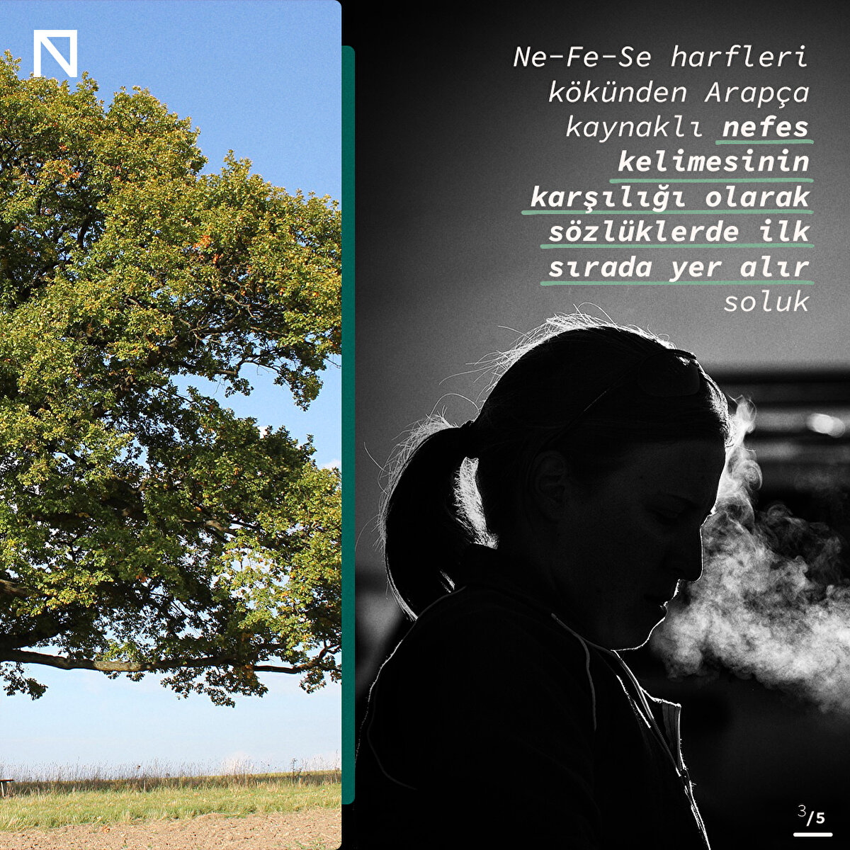 Ne-Fe-Se harfleri kökünden Arapça kaynaklı nefes kelimesinin karşılığı olarak sözlüklerde ilk sırada yer alır soluk