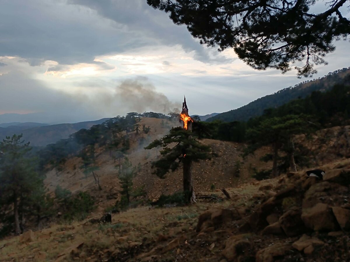 Yağış sırasında 3 ilçede 11 noktada, yıldırım düşmesi sonucu yangın çıktı. 