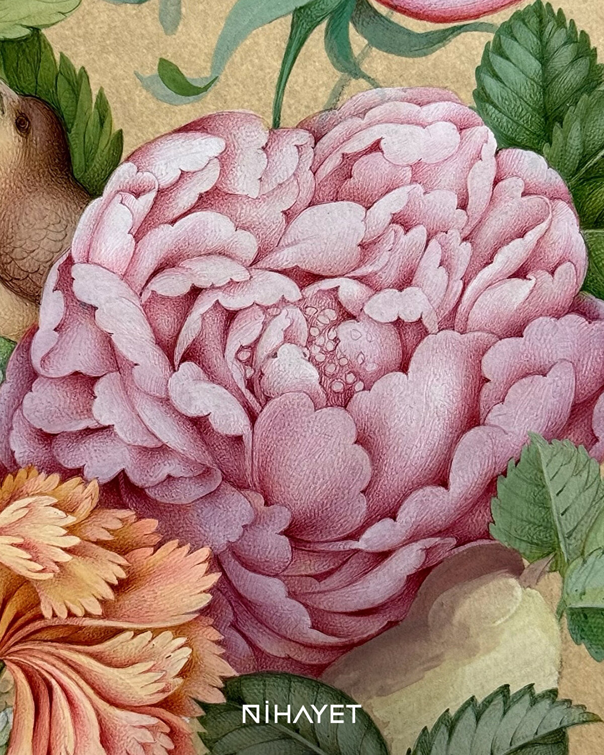 Daha fazlası için Nihayet'i takip etmeyi unutmayın.