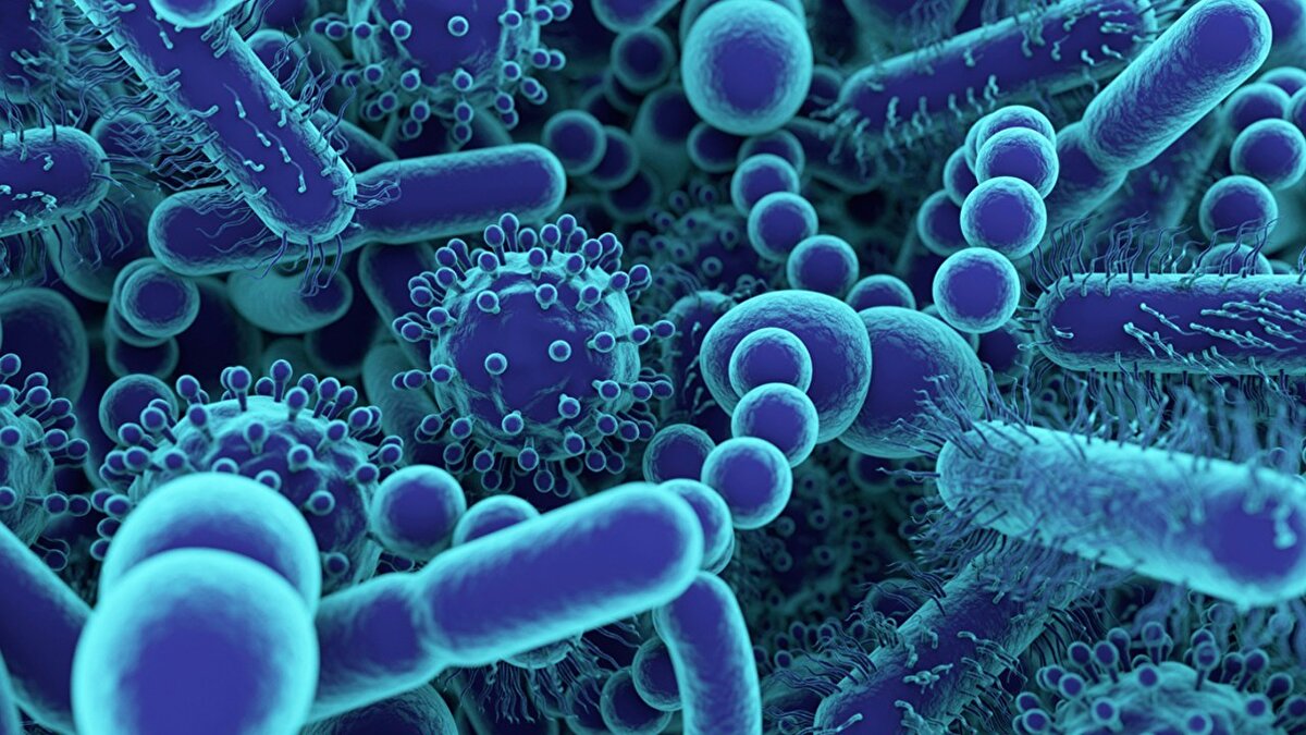 Listeria monocytogenes enfeksiyonu salgınını araştırmak için Hastalık Kontrol ve Önleme Merkezleri (CDC) ve eyalet halk sağlığı kurumlarıyla birlikte çalıştığını ifade eden FSIS, dün itibariyle 13 eyalette 33 hastaneye yatış ve iki ölüm dahil olmak üzere toplamda 34 hasta tespit edildiğini belirtti.