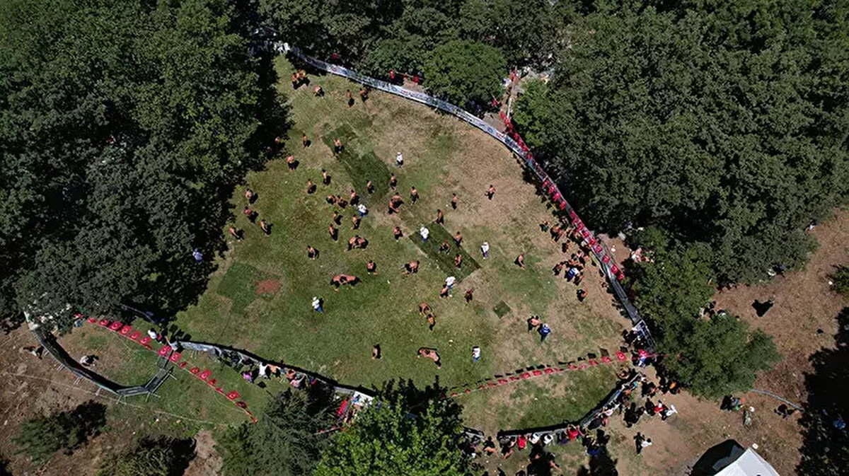 Kadınların hakimiyetine geçen köyde ise, kimi kadınlar eşlerinden devraldığı işleri sürdürürken diğer kadınlar ise meydanda toplanarak doyasıya eğlendi. Gün içerisinde kahvede oyun oynayan, salıncakta sallanan kadınlar, çeşitli illerden gelen sadece kadınlara daha önceden hazırladıkları, etli bulgur pilavı ve ayran ikram etti.