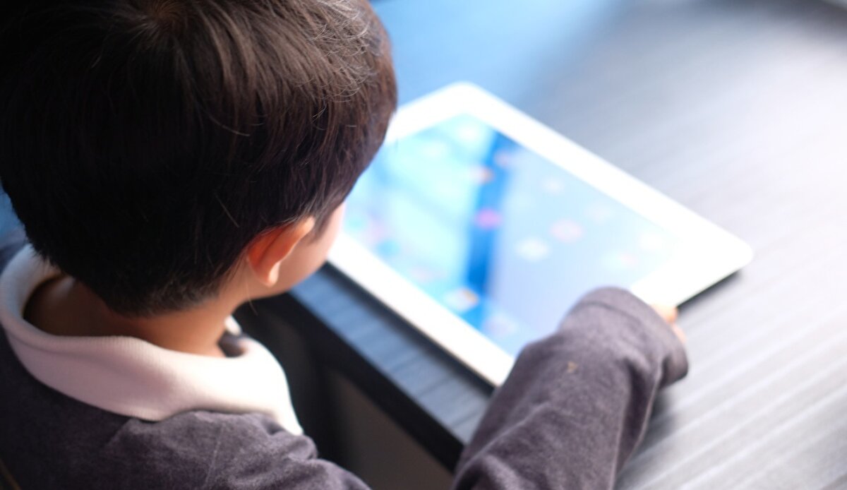 Vatandaşların ayrıca WhatsApp ve Bip ihbar hattı "0530 918 11 17" iletişim numarasından da muzır içeriklere müdahale ihbarı yapabildiğine işaret eden Göktaş, bu şekilde bildirilen tüm içeriklerin titizlikle incelenerek gerekli mercilere iletildiğini ifade etti.<br><br>Göktaş, DUY projesiyle çocukların daha güvenli ve sağlıklı bir çevrede büyümelerini hedeflediklerini belirterek, çocukların korunması ve geleceği için herkesi üzerlerine düşen görevi yapmaya davet etti.