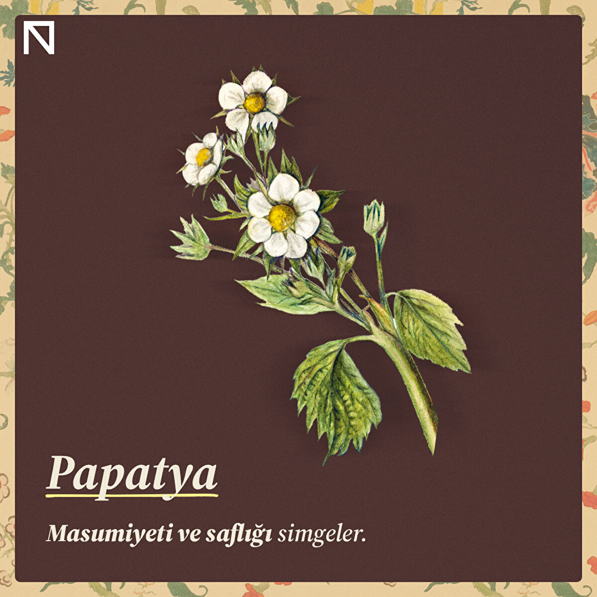 Masumiyeti ve saflığı simgeler