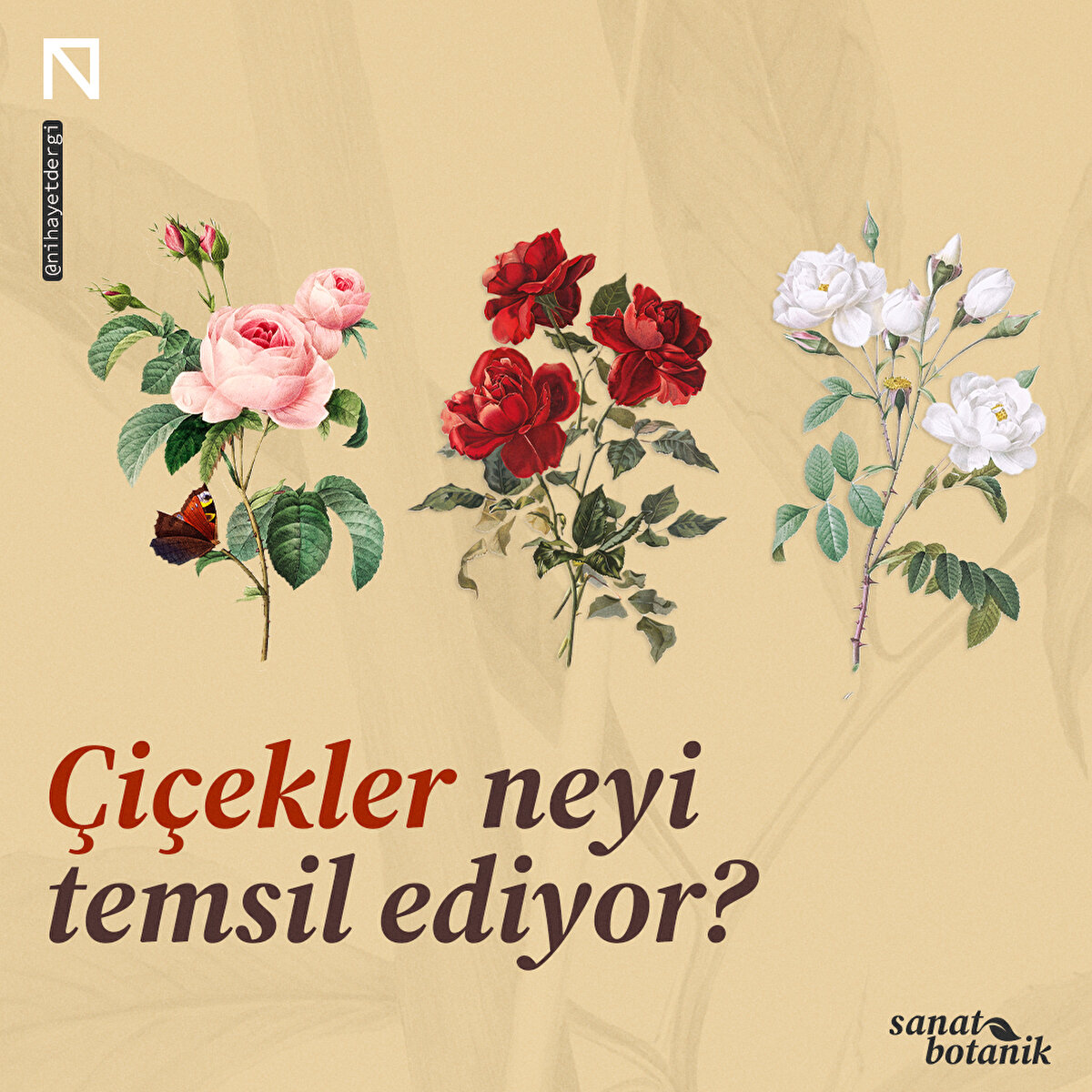 Çiçeklerin derin anlamları