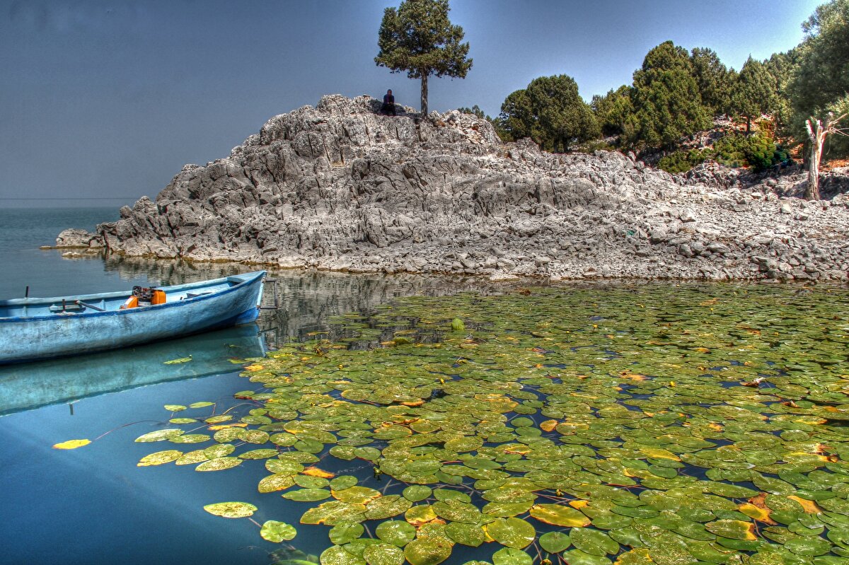 Nilüferleri koparmanın cezası 73 bin lira.