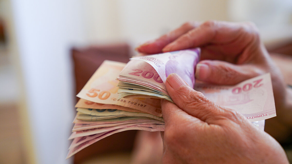 Bu sene emeklilik dilekçesi verenlerin aylıkları hesaplanırken, 1,6612 olarak açıklanan 2023 yılı güncelleme katsayısıyla (yüzde 64.77 çıkan 2023 yılı enflasyonu ve 2023 yılı büyümesinin yüzde 30'u olan yüzde 1.35'in toplamıyla) belirlenen tutara, 2024'ün Ocak ayındaki yüzde 49.25 ve Temmuz ayındaki yüzde 24.73 zam oranı dahil ediliyor. İki zammın toplamı da kümülatif yüzde 86.16'ya ulaşıyor.