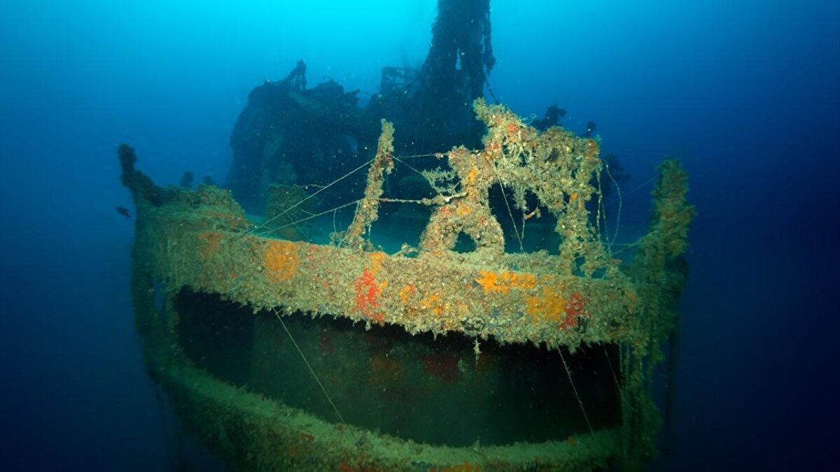 Ceylan ile Sahil Güvenlik Komutanlığı Dalış Emniyet Güvenlik ve Arama Kurtarma (DEGAK) timleri ve dalış eğitmeni Mahmut İğde, gerekli önlemleri aldıktan sonra Ulla Gemisi batığının olduğu yere dalış gerçekleştirdi.