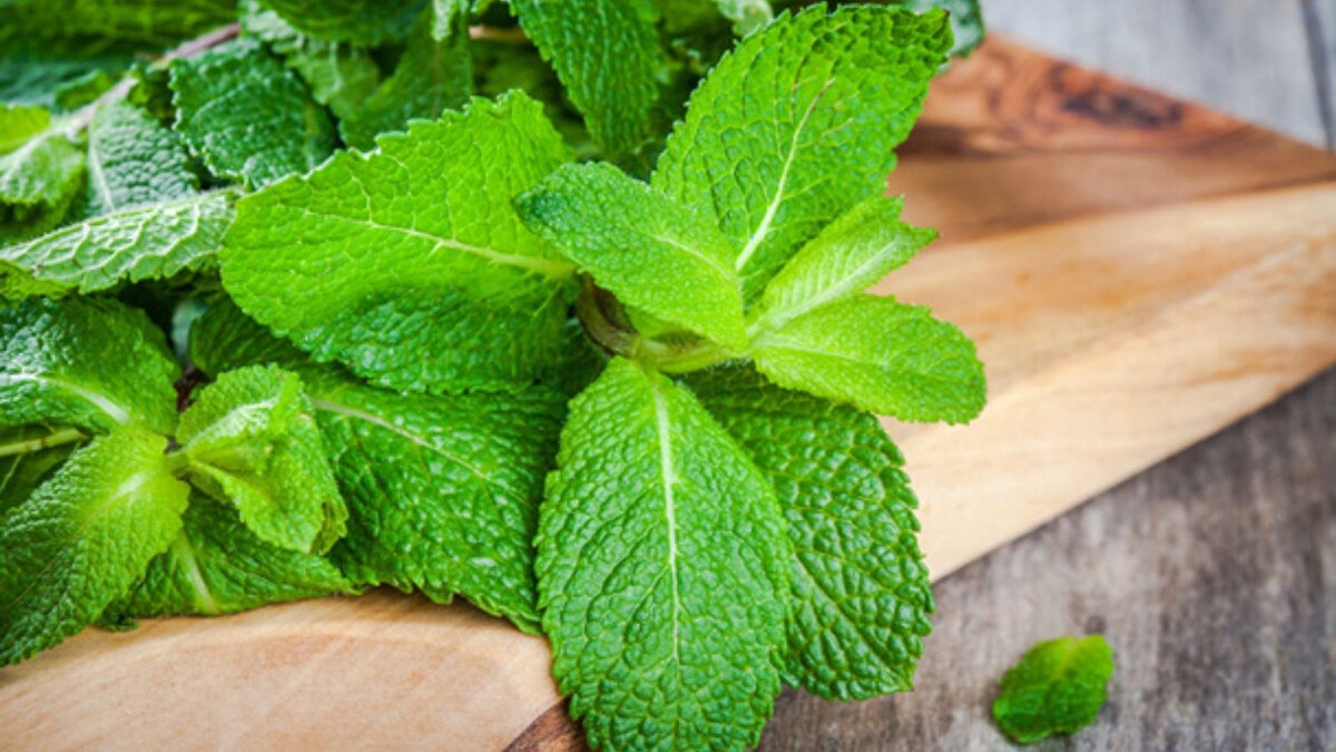 Nane<br>Karıncalar naneden hoşlanmazlar. Bu nedenle, karıncaların bulunduğu bölgelere nane koyabilir veya nane yağını dökebilirsiniz. Karıncalar, nane kokusunu aldıklarında hemen uzaklaşacaklardır.