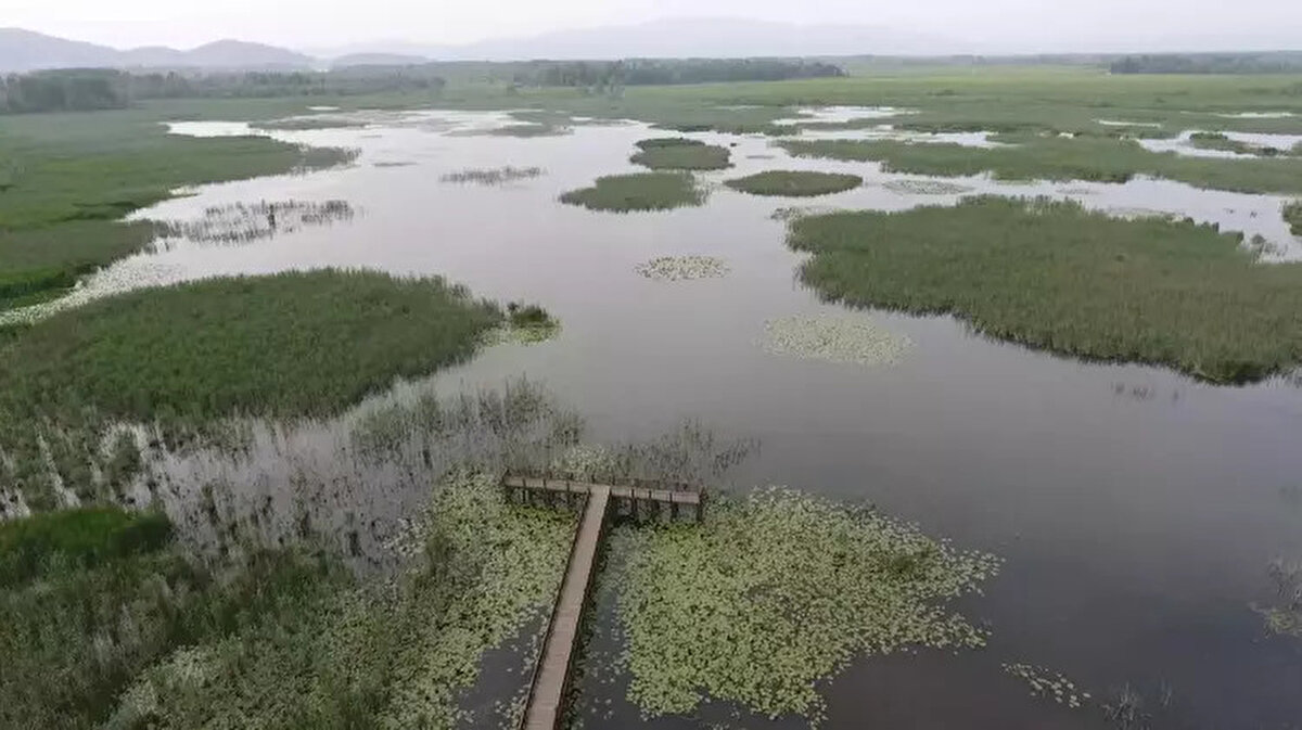 Gölün üzerinde süzülen yeşilin çeşitli tonlarıyla birleşen nilüferler de bölgeye gelen tatilcilerin ilgisini çekiyor. Doğa tutkunları ile kuş gözlemcilerinin de uğrak noktası olan Efteni Gölü, fotoğraf tutkunlarının da ilgisini çekiyor.