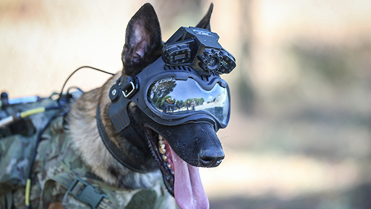 Tamamlanan ancak özelliklerinin geliştirilmesi için AR-GE çalışması süren UKKS cihazının, üzerinde gerekli iyileştirmeler yapılıp seri üretime geçilmesinin ardından özellikle terörle mücadele için envantere dahil edilmesi planlanıyor.