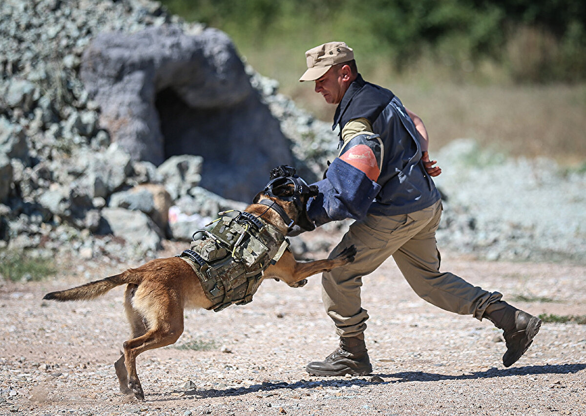 Tünel, mağara ve meskun mahal gibi girilmesi zor ve riskli bölgelere askeri personelden önce gönderilmesi planlanan eğitimli köpeklere entegre edilen cihaz yardımıyla anlık görüntü akışı izlenerek hem personelin hem de köpeğin riskli durumlardan korunması hedefleniyor.<br><br>Tasarlanan özel gözlük ve kask sayesinde dar alanlarda köpeğin gözüne zarar gelmesinin önüne geçilirken, özel kulaklık sayesinde verilen komutla ise tehlike anında hayvanın, eğiticisinin yanına dönmesi sağlanıyor.