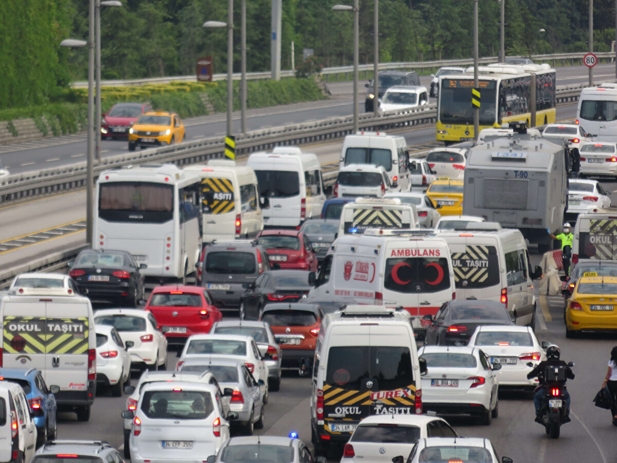 2024 temmuz sonu itibarıyla, trafikteki araçların yüzde 52,3'ünü otomobil, yüzde 19'unu motosiklet, yüzde 15,3'ünü kamyonet, yüzde 7,4'ünü traktör, yüzde 3,3'ünü kamyon, yüzde 1,7'sini minibüs, yüzde 0,7'sini otobüs ve yüzde 0,3'ünü özel amaçlı taşıtlar oluşturdu.