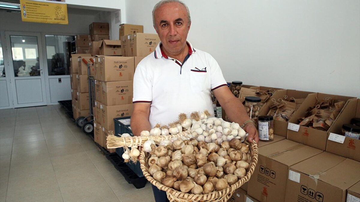 <br>Güney Kore gezisi sırasında siyah sarımsak ile tanışan Halit Cebeci, 2015 yılında bu alanda yatırım yapma kararı aldı.