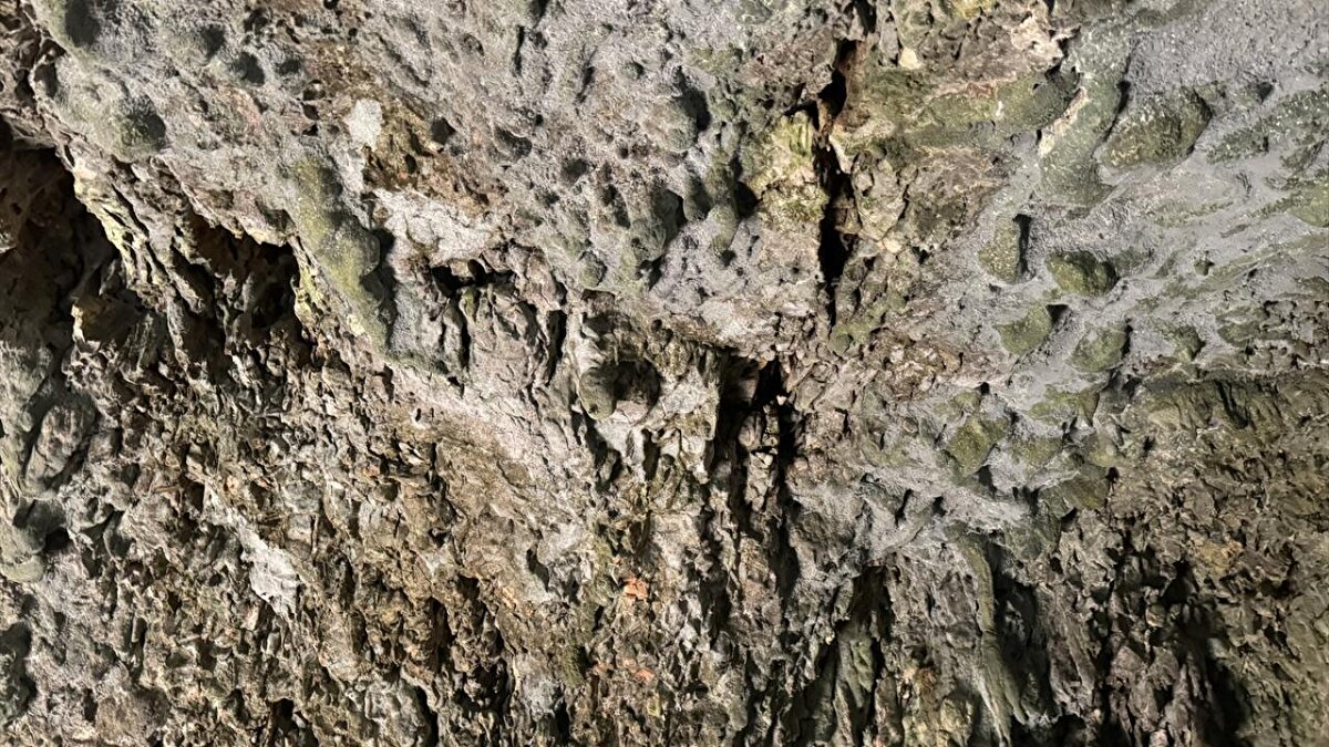 Mehmet Alkan "Şu an mağaranın 40 metre derinliğine kadar ilerledik. Yaptığımız incelemede su damlacıklarının damlaması sonucunda oluşan sarkıt ve dikitler görüyoruz. Burada aynı zamanda farklı olan bir konu ise damlamalar sonucunda 10 metre uzunluğunda, 3 metre genişliğinde sütunlar oluşmuş. Bu sarkıt ve dikitler milyonlarca yılda oluşan bir durum. Gezgin ve doğaseverleri buraya görmeye davet ediyorum" dedi.