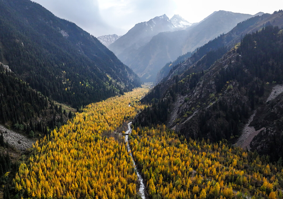 Kayalıklar, ormanlar ve alpin çayırıyla çevrili gölün etrafında her türlü bitki örtüsü yetişiyor. Göl kenarında yetişen endemik bitkiler arasında altın adonis ve Kazak ardıçı da yer alıyor.