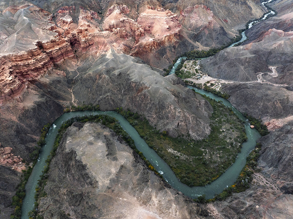 Bölgede ayrıca 1500 çeşit bitki yetişiyor.