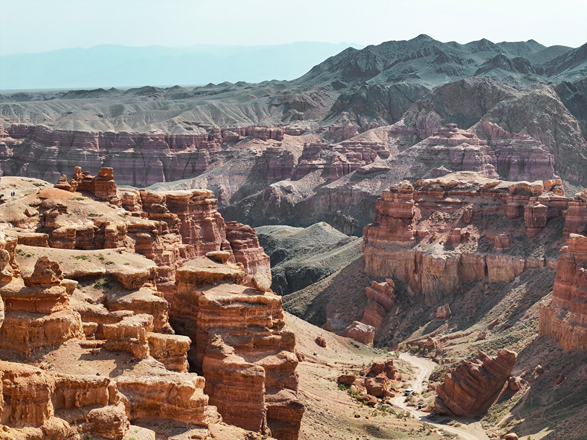 Charyn Kanyonu, zorlu koşullarına uyum sağlamış 62 tür memeli, 25 tür sürüngen ve 103 tür kuşa ev sahipliği yapıyor. 
