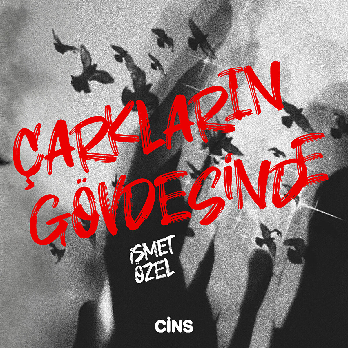 Çarkların gövdesinde