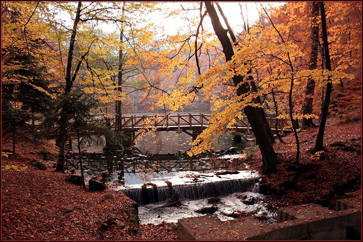 2) Yedigöller, Bolu: Bilindik olsa da, Bolu'nun Yedigöller'i sonbaharı en yoğun hissedebileceğiniz yerlerden biri. Bolu'da Yedigöller Milli Parkı'nı ziyaret edebilir, Abant Gölü'ne uğrayabilir ve Gölcük Tabiat Parkı'nın keyfini çıkarabilirsiniz. Bolu'nun aynı zamanda zengin mutfağıyla bilinen bir gastronomi şehrimiz olduğunu hatırlamakta fayda var.