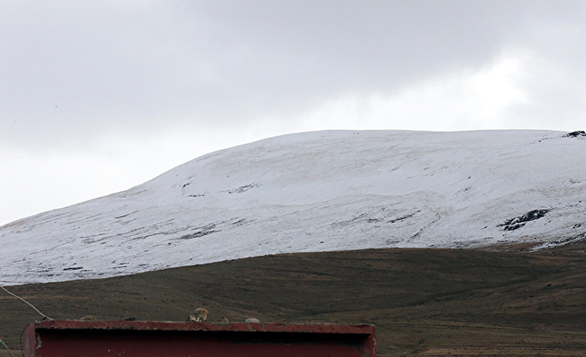 Türkgözü-Posof-Damal kara yolunda kar ve buzlanma nedeniyle bazı araçlar ilerlemekte güçlük çekti. Seyitören mevkisinde de yolda kalan 11 tır için kara yolları ekipleri çalışma başlattı.