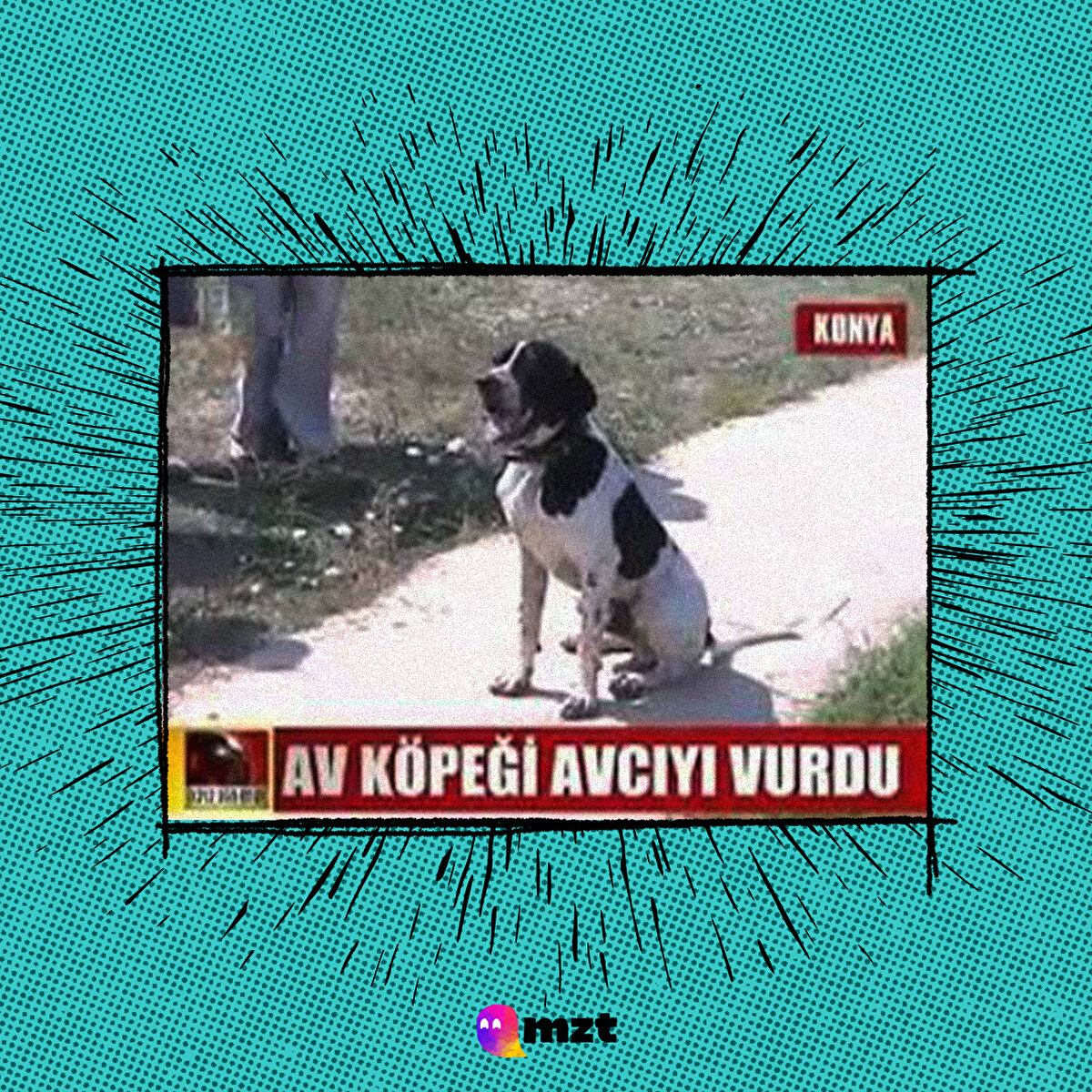 Av köpeği avcıyı vurdu