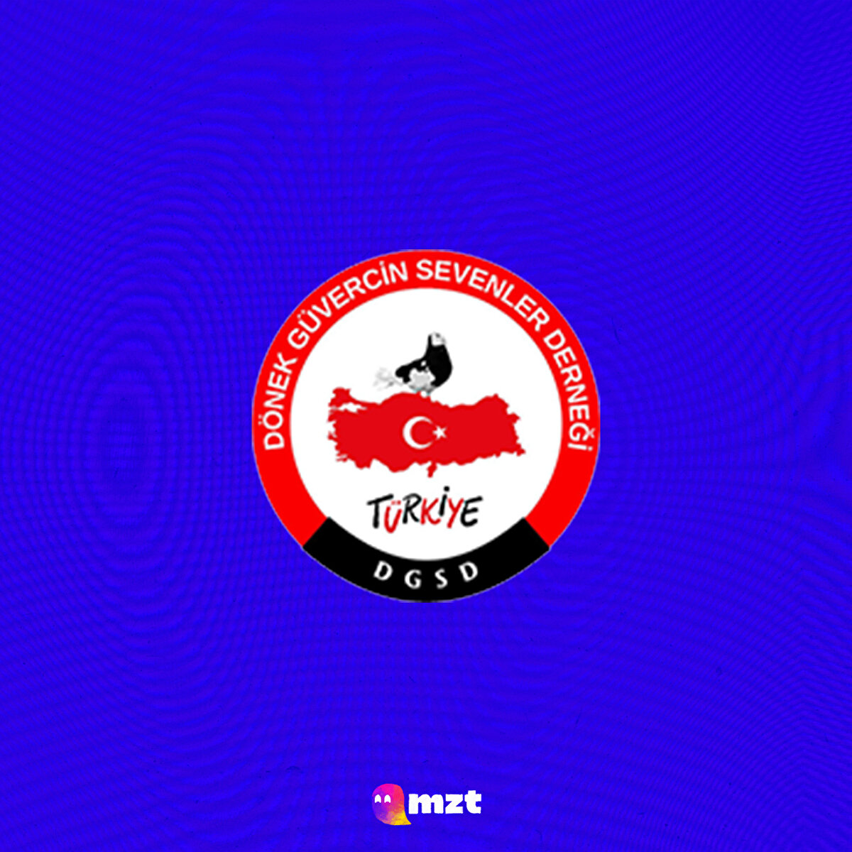 Dönek güvercin severler derneği