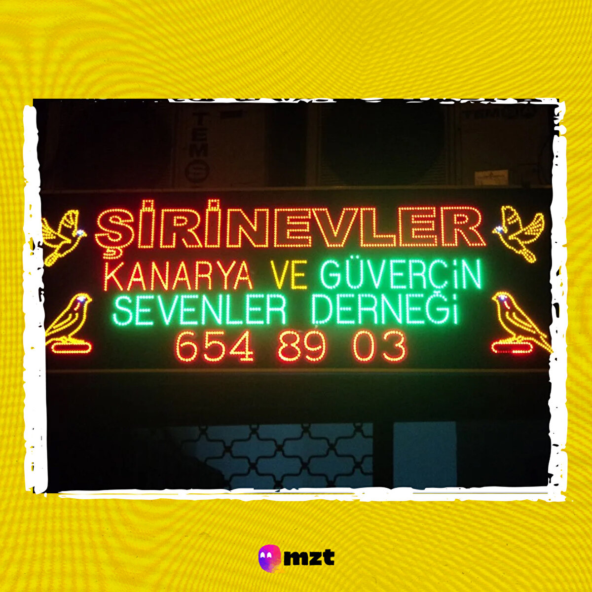 Şirinevler kanarya ve güvercin sevenler 