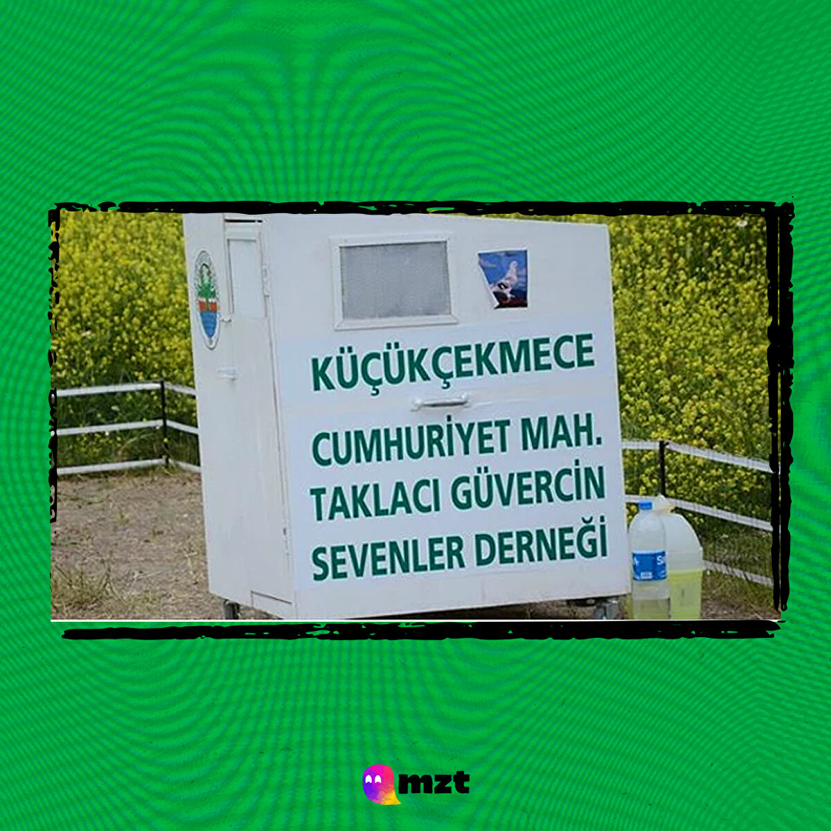 Küçükçekmece Cumhuriyet mahallesi taklacı güvercin sevenler derneği