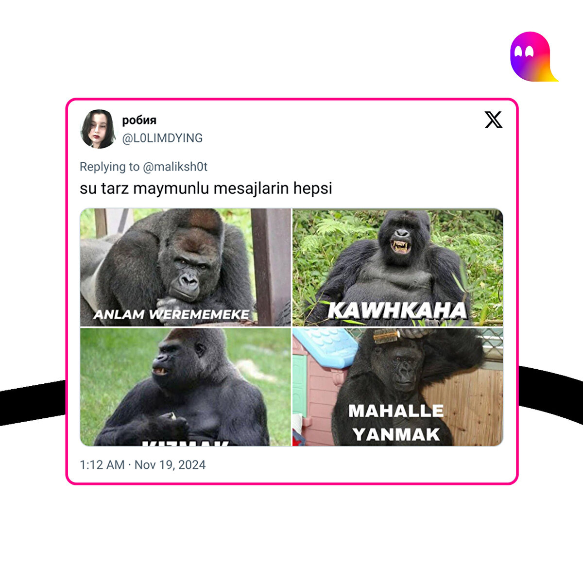 Duygu durum gorilleri