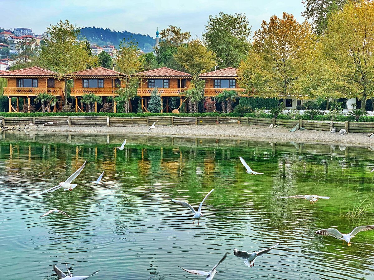 5. Sapanca (Sakarya)<br><br>Sapanca Gölü çevresinde kışın keyfini çıkarabilir, doğa yürüyüşleri yapabilirsiniz. Güne kahvaltı ile başlayıp göl kenarında bisiklet turu yapabilirsiniz.