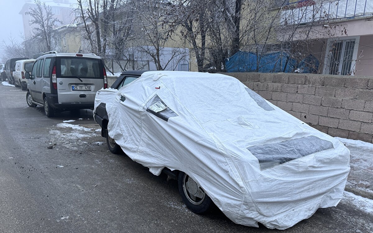 Ağaçlarda kırağı, binaların çatılarında ise buz sarkıtları oluştu. Ardahan'da ise yoğun sis ve soğuk hava etkili oluyor.