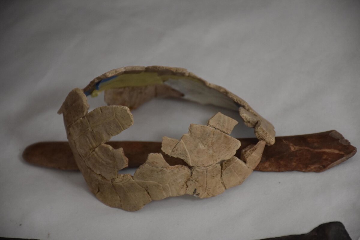 'Bina kullanım süresi dolunca ölüyor'<br><br>Ulucak Höyüğü'ndeki binaların terk ritüelleri hakkında bilgi veren Prof. Dr. Çevik, "Terk ritüellerinde spatula ayrıca büyükbaş veya küçükbaş hayvanlarına ait kürek kemiğinin kullanılmasından biliyoruz. Ama bu sene ilginç olan şey, kaplumbağa kabuğu ile altına kemik spatulanın bırakılmış olması. Daha da ilginci; tahıllar dışında yakın doğuda çok az örneğini bildiğimiz kemik orakların, kesici taşlarıyla birlikte bulunmuş olması. Bunların da bilinçli olarak tabana bırakılmış olması, binanın yakılmadan önce kapatma ritüeliyle ilişkisini gösteriyor. Göbeklitepe'de de benzerlerin görüyoruz. Dönemin insanları, binaların antropomorfize (insani niteliklerin başka bir varlığa atfedilmesi) edildiklerini, insan gibi düşünüldüklerini gösteriyor. İnşa edilip doğuyor. Kullanılıyor, yaşıyor. Son olarak bina, kullanım süresi tamamlanınca ölüyor. Binaların yakılarak kapatıldıklarını, öncesinde de belli nesnelerin içerisine bilinçli olarak bırakıldıklarını biliyoruz" dedi.