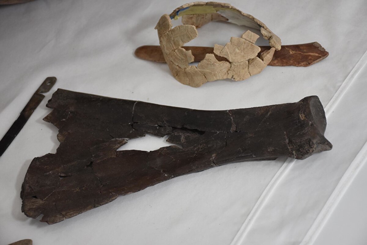 'Batı'da kaplumbağa vurgu yapılması ilginç'<br><br>Buluntuların özelliklerinden bahseden Prof. Dr. Özlem Çevik, "Çok sayıda çömlek kırık halde bulundu. Kil malzemeden, pişmiş topraktan yapılmış. Bunların binanın damına konulmuş olduğunu, binanın yapımı sırasında tabana düşmüş olabileceğini düşünüyoruz. Buğday ve mercimek gibi baklagiller var. Geçen sene binanın bir bölümünü kazmıştık. Kaplumbağa ve insan karışımı figürünler bulmuştuk. Aynı binanın tamamlanan kazılarında kaplumbağa kabuğunun bulunması da ilginç. Orak bıçaklar bulduk. Bunlar kemikten yapılmış. Saçak olan kısımlarında çakmak taşları kullanılmış. Bulduğumuz kürek kemiğinde ise kürek gibi kullandıklarını gösteren izler var. Bir bütün olarak binanın içinde ele geçirilmesi, o bina hakkında bilgi vermesi açısından anlamlı. Kapatma ritüelini anlamak açısından da önemli. Kaplumbağa vurgusu dikkat çekiyor. Bir tek Şanlıurfa'daki Nevali Çori Höyüğü'nden biliyoruz. Bir kabartma üzerinde kaplumbağayla dans eden insan var. Kaplumbağayla gömülen insan figürleri var. Bereket, bolluk gibi temaları var. Bu kadar batıda kaplumbağaya vurgu yapılması ilginç" diye konuştu.