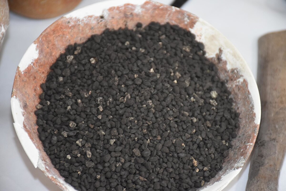 Kültür ve Turizm Bakanlığı, Büyükşehir Belediyesi, Kemalpaşa Belediyesi ve Kemalpaşa Organize Sanayi Bölgesi'nin desteğiyle İzmir'in en eski yerleşimi olan 8 bin 850 yıllık Ulucak Höyüğü'ndeki kazı çalışmaları sürüyor. Trakya Üniversitesi Edebiyat Fakültesi Protohistorya ve Ön Asya Arkeolojisi Anabilim Dalı Öğretim Üyesi Prof. Dr. Özlem Çevik'in 2009'da kazı başkanlığını devraldığı höyükteki kazılara ilişkin bilgi verdi. Prof. Dr. Özlem Çevik, "Ulucak Höyüğü, Batı Anadolu'nun ve İzmir'in M.Ö. 6 bin 850 yılına tarihlendiği için günümüzden 8 bin 850 öncesine ait bir yerleşim. 1100 yıl boyunca da kesintisiz olarak iskan edilmiş bir yer. Dolayısıyla Batı Anadolu'nun, İzmir'in en erken çiftçi köy yerleşimi olduğunu söyleyebilirim. Bakanlığın 'Geleceğe Miras' projesi kapsamına bu sene uzun bir kazı dönemi oldu" dedi.