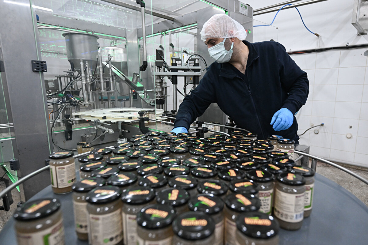 "Köklerimize saygıyla üretiyoruz"<br>Kemik sularını hazırlamanın çok meşakkatli ve uzun saatler alan bir iş olduğuna işaret eden Tanju, oluşturduğu yerli markayla ihtiyacı olanların ürüne kolayca ulaşabileceğini söyledi.<br><br>Şu anda 17 çeşit ürün ürettiklerini ifade eden Tanju, sözlerini şöyle sürdürdü:<br><br>"Ürünlerin içinde, 5 çeşit kemik ve tavuk suyu, 4 çeşit sakatat çorbası ve mercimek ile ezogelin çorbası gibi Anadolu tatlarının da yer almasını istedim. Bu çorbalar tamamen coğrafi işaretli ürünlerle hazırlandı. Örneğin Mardin Midyat'tan mercimek kullanıyoruz, Diyarbakır Karacadağ'dan kepekli pirinç geliyor, sade yağımız Erzurum'dan geliyor. Tamamen gluten içermeyen çok özel bir üretimimiz var. Aslında biz geleneği geleceğe taşımak istiyoruz, globale taşımak istiyoruz. Bizim o kadar özel ürünlerimiz var ki üstelik bunlar Anadolu kadının elinden çıkıyor. Biz bu ürünleri Anadolu'da o kıymetli kadınlarımızın ürettiği coğrafi işaretli ürünlerle hazırlıyoruz ve markette insanların kolayca kullanıma sunuyoruz. Gelenekseli sürdürüyoruz. Köklerimize saygıyla üretiyoruz. En büyük heyecanımız bu geleneksel gıdayı globale taşımak."