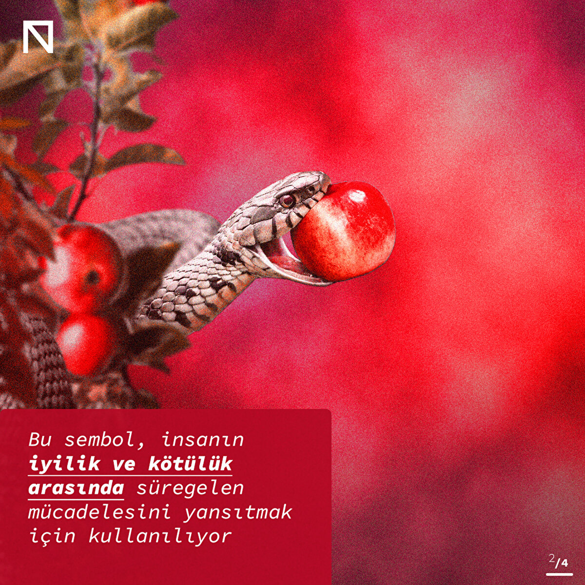 Bu sembol, insanın iyilik ve kötülük arasında süregelen mücadelesini yansıtmak için kullanılıyor