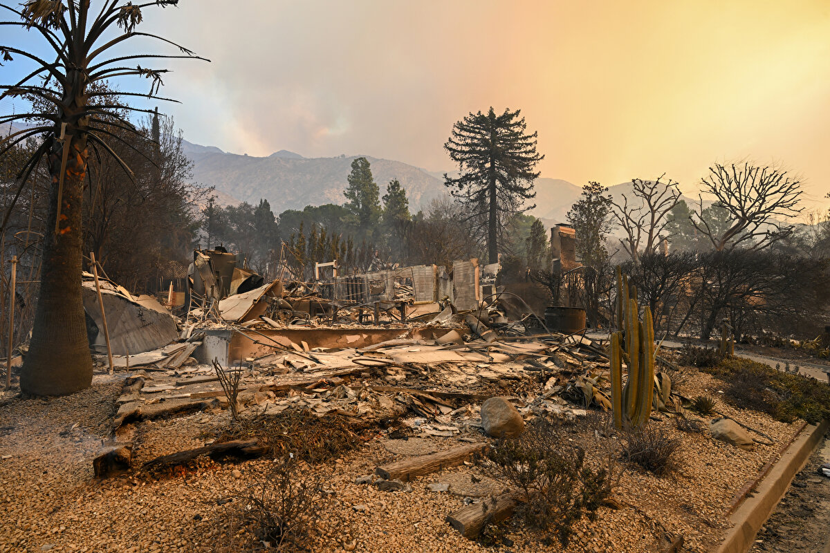 Los Angeles emniyet yetkilileri, şehrin Woodland Hills bölgesinde yangın çıkarmaya çalıştığından şüphelenilen bir kişinin gözaltına alındığını açıkladı.