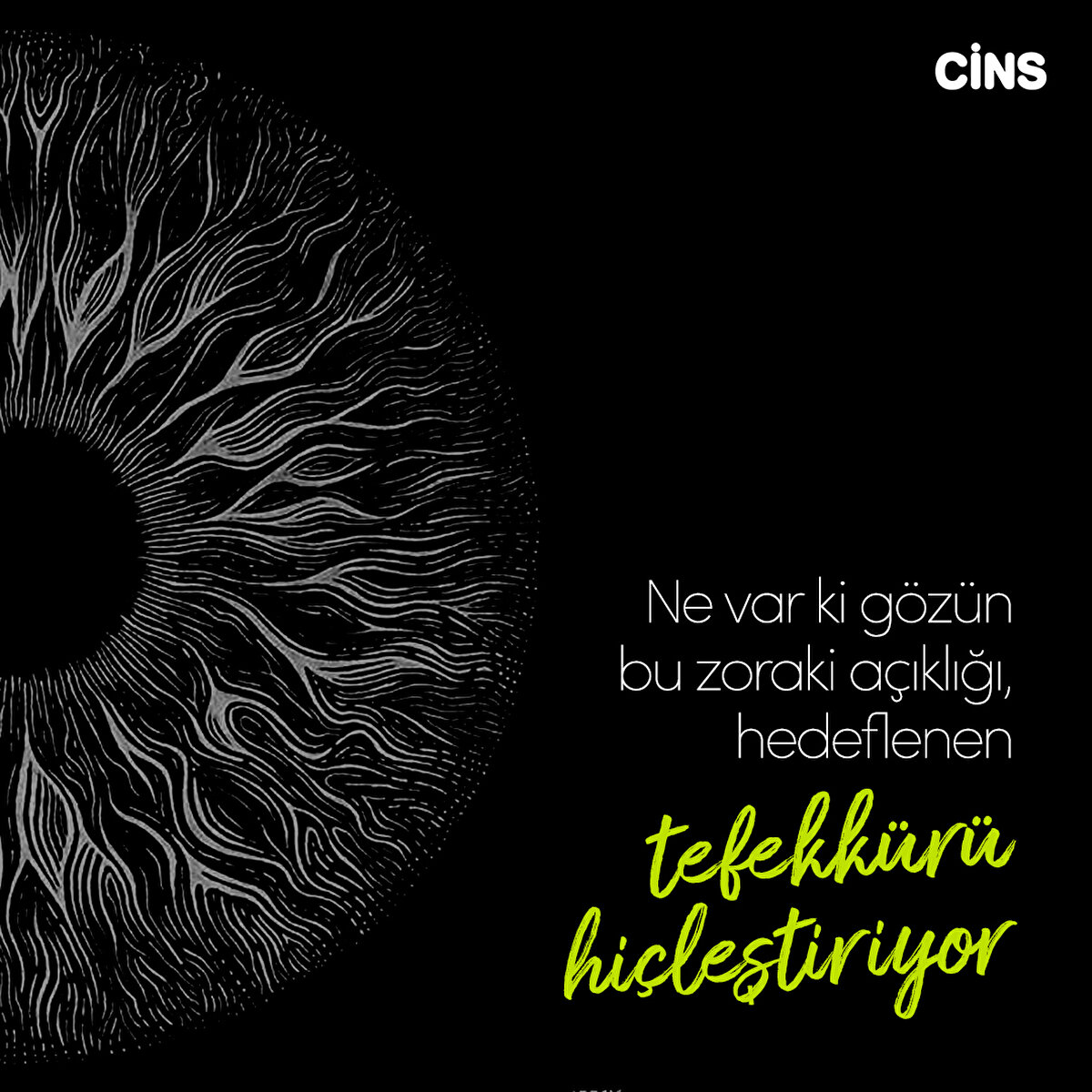 Ne var ki gözün bu zoraki açıklığı, hedeflenen tefekkürü hiçleştiriyor