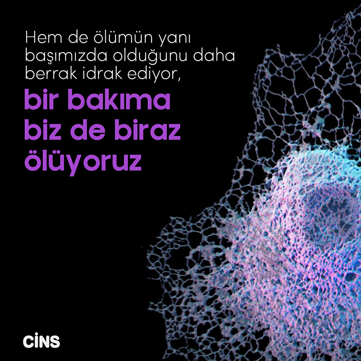 Hem de ölümün yanı başımızda olduğunu daha berrak idrak ediyor, bir bakıma
biz de biraz ölüyoruz
