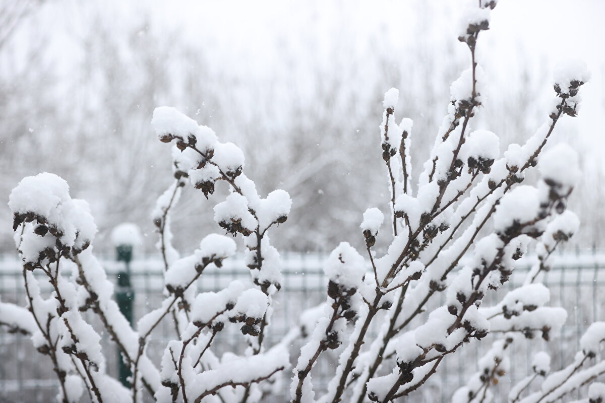Meteoroloji Genel Müdürlüğü’nün uyarılarının ardından Kırklareli’nin yüksek kesimlerinde kar yağışı etkili oldu, bazı bölgelerde sıcaklık sıfır derecenin altına düştü ağaç dalları dondu.